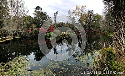 Magnolia Plantation Editorial Stock Photo