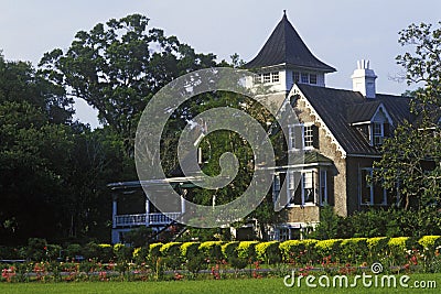 Magnolia Plantation and Gardens, oldest public garden in America, Charleston, SC Stock Photo