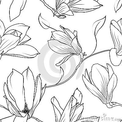 Magnolia sakura flowers branch seamless pattern Vector Illustration