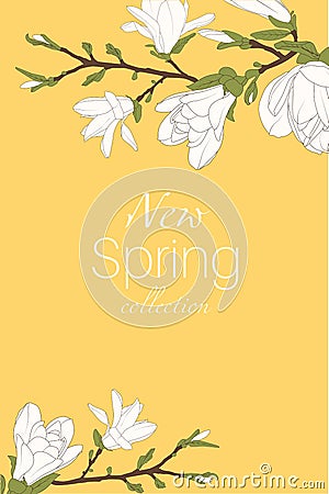 Magnolia tree branch flowers bloom blossom buds. Isolated design elements. Card banner flyer template text placeholder. Vector Illustration