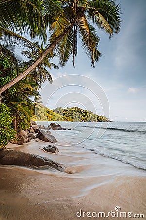 Mahe Island, Seychelles. Holiday vocation on the beautiful Anse intendance tropical beach. Coconut palm trees and ocean Stock Photo