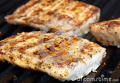 Mahi Stock Photo