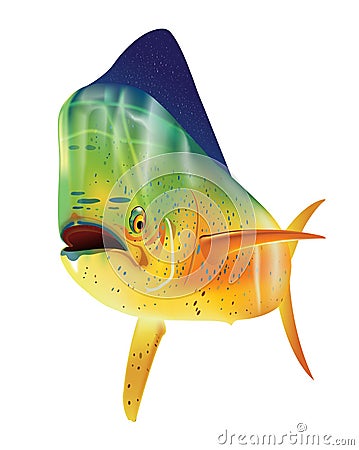 Mahi Mahi dolphin fish Stock Photo