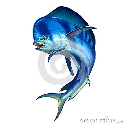 Mahi mahi or dolphin fish on white. Stock Photo