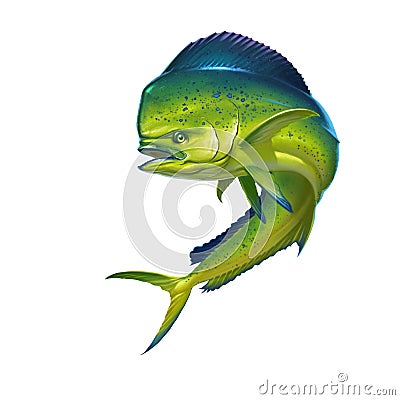 Mahi mahi fish Stock Photo