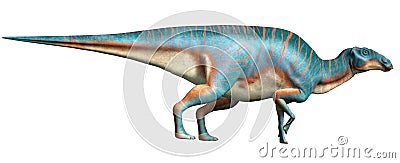 Maiasaura Stock Photo