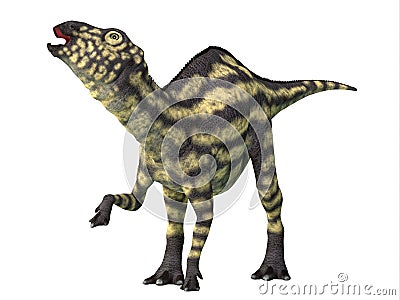 Maiasaura Juvenile Dinosaur Stock Photo