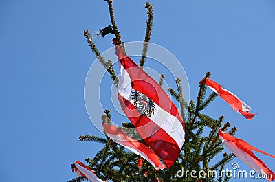 Maypole installation in Laakirchen, Austria Editorial Stock Photo