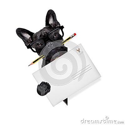 Mail delivery post dog Stock Photo