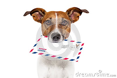 Mail dog Stock Photo