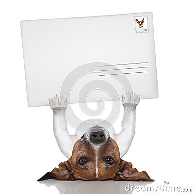 Mail dog Stock Photo