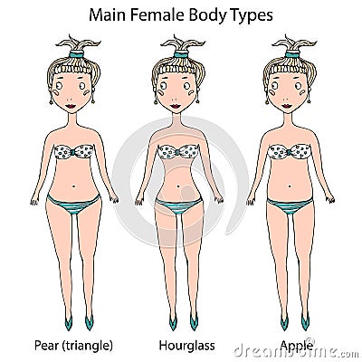 Main Female Body Shape Types. Hourglass, Pear or Triangle and Apple. Realistic Hand Drawn Doodle Style Sketch. Vector Vector Illustration