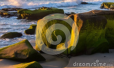 Algae-covered rock formations and tide pools exposed at low tide along Pacific Coast Stock Photo