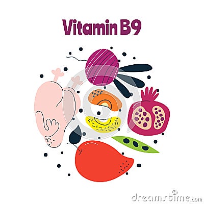 The main food sources of vitamin B9. Healthy food concept. Vector Illustration