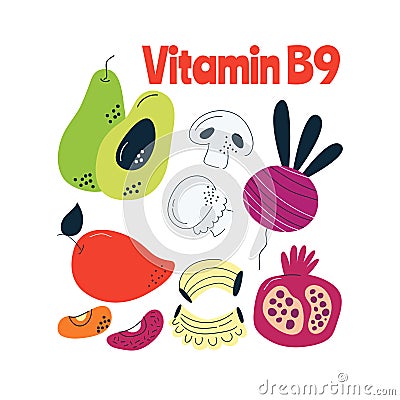 The main food sources of vitamin B9. Healthy food concept. Vector Illustration