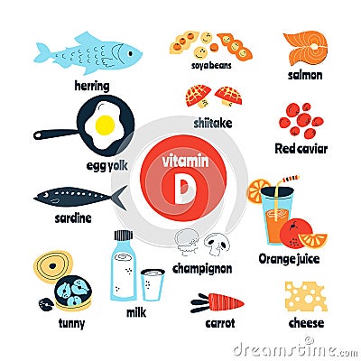 The main food sources of vitamin D. the concept of healthy eating. Vector Illustration