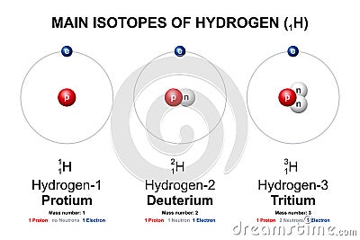 Main isotopes of Hydrogen, Protium, Deuterium D and Tritium T Vector Illustration