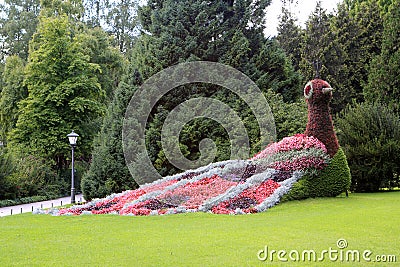 Mainau Stock Photo