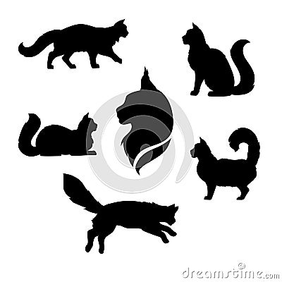 Maine Coon cat icons and silhouettes. Vector Illustration