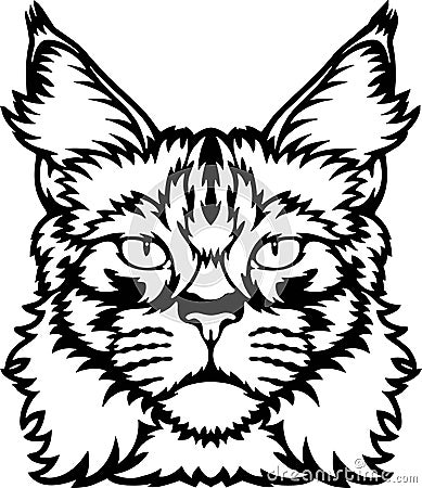 Maine Coon Cat Vector, Peeking Cats, Cats Breed, Pet Vector portrait, Cats Head Vector Illustration