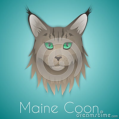 Maine coon Vector Illustration