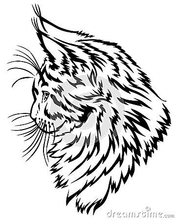 Maine Coon kitten profile Vector Illustration