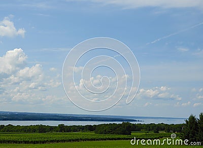 Maize corn crop field and farmland above Seneca Lake Stock Photo