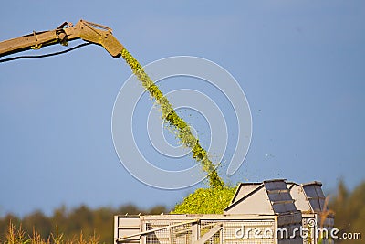 Maize crop chopper ejection tower Stock Photo