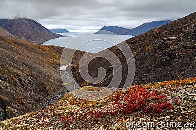 Majestic arctic landscape with mountains and sea bay Stock Photo