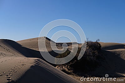 Majestic forms of dunes Gran Canaria Stock Photo