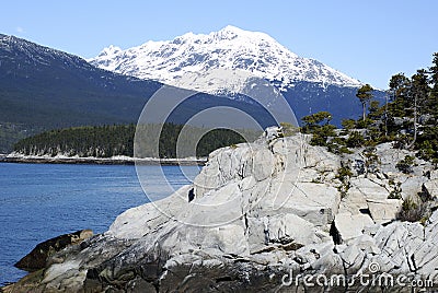 Majestic Landscape Stock Photo