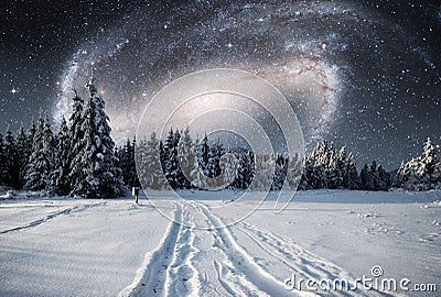 Majestic landscape with forest at winter night time with stars and galaxy in the sky. Scenery background. Elements Stock Photo