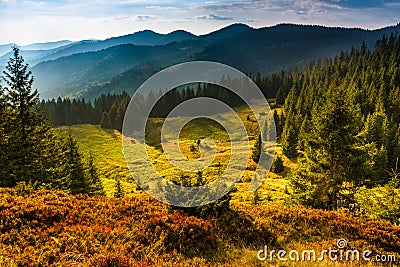 Majestic landscape of summer mountains. A view of the misty slopes of the mountains in the distance. Stock Photo