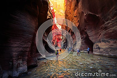 The Majestic Narrows of Zion National Park, Utah Editorial Stock Photo