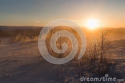 majestic snow-covered icelandic landscape with bare trees and bushes Stock Photo