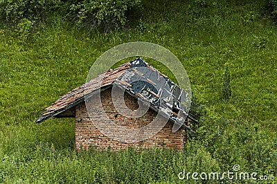 Majestic spring fresh meadow with different grass, blossom wildflower and old farm building, Plana mountain Stock Photo