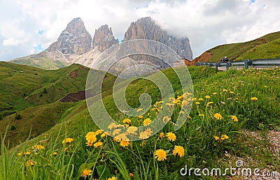 Majestic summer scenery of Pass Sella with wild flowers on green grassy meadows in the foothills Stock Photo