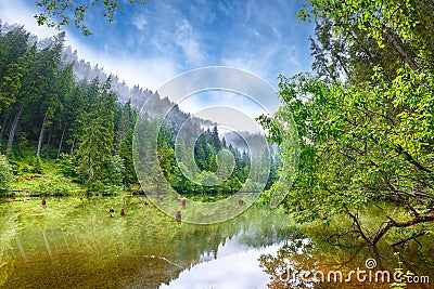 Majestic summer view of mountain lake Lacul Rosu or Red Lake or Killer Lake Stock Photo