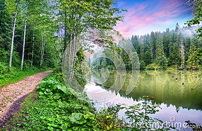 Majestic summer view of mountain lake Lacul Rosu or Red Lake or Killer Lake Stock Photo