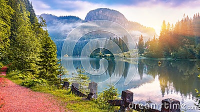 Majestic summer view of mountain lake Lacul Rosu or Red Lake or Killer Lake Stock Photo