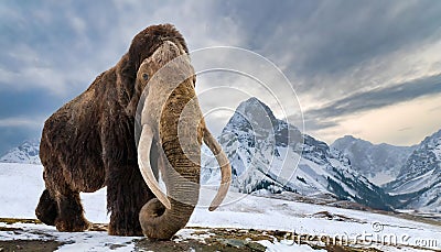 Majestic Wooly Mammoth Roaming Snowy Tundra. Generative AI Stock Photo