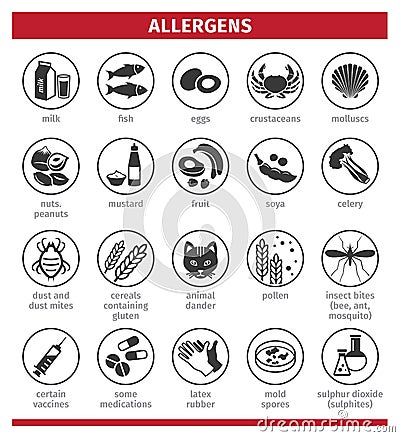 Major allergens. What causes allergies. Template for use in medical agitation. Triggers for the development of bronchial Vector Illustration