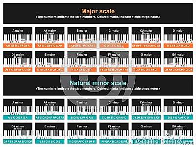 Major and minor scale table Vector Illustration