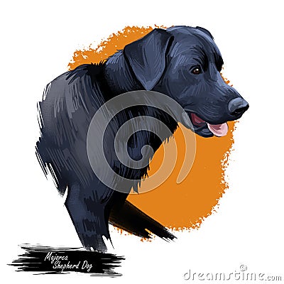 Majorca shepherd dog, perro de pastor digital art illustration. Pet originated in Spain, domestic animal mammal showing Cartoon Illustration