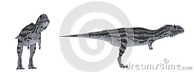 Majungasaurus. Dinosaur isolate on white Stock Photo