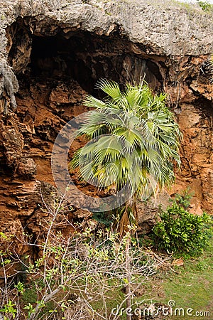 Makauwahi Cave Stock Photo