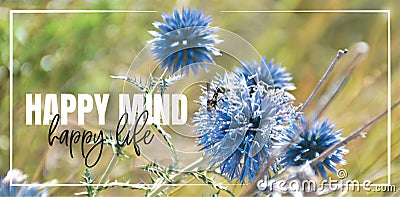 Happy mind, happy life. Wording design, lettering. Beautiful inspirational, motivational, life quotes. Blue flower in nature Stock Photo