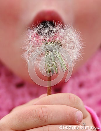 Make a wish Stock Photo