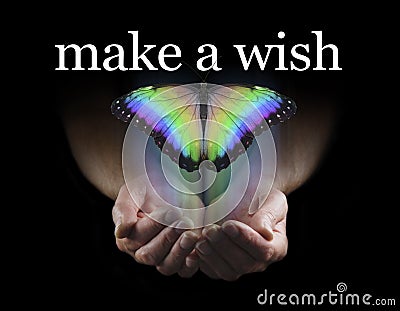 Make a Wish on this Beautiful Rainbow Butterfly Stock Photo