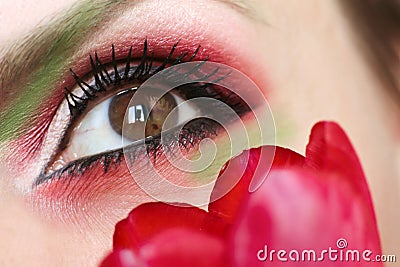 Makeup brown green eyes with red and green eyeshadow Stock Photo